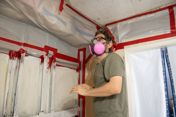 Best Industrial Mold Remediation  in Staunton, VA